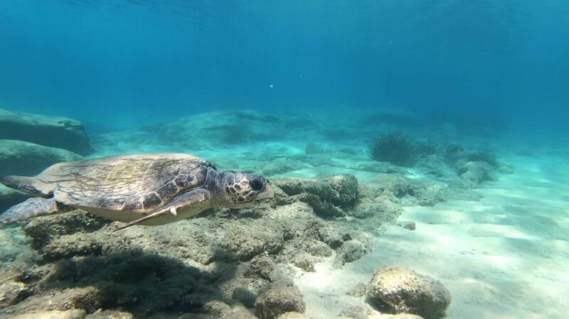 Naxos: Discover Scuba Diving - Your first experience diving - Who Should Consider This Experience?