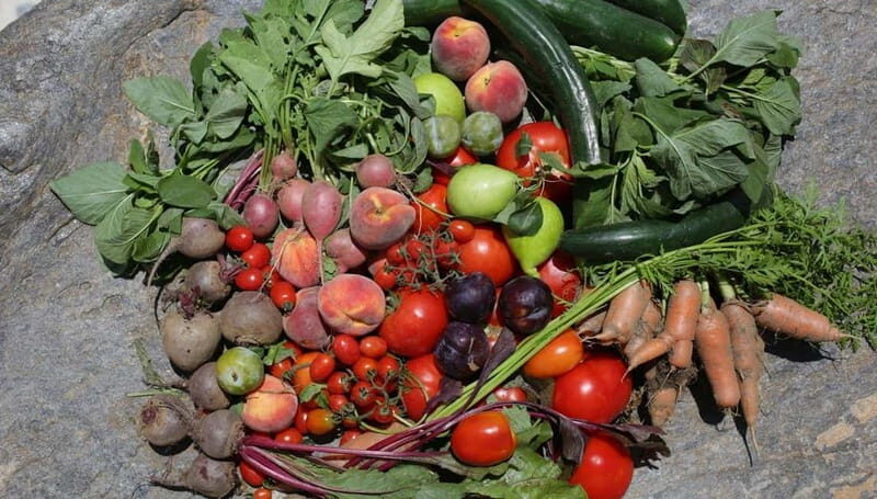 Naxos: Hands-On Cooking Class with Local Wine - Final Thoughts
