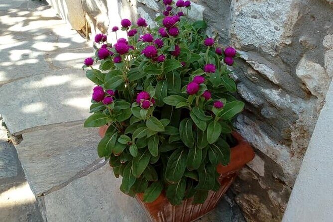 Naxos: Highlights of Naxos Day Tour - FAQ