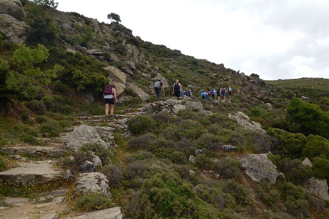 Naxos: Hike to the Top of the Cyclades - Mount Zas - An In-Depth Look at the Mount Zas Hike