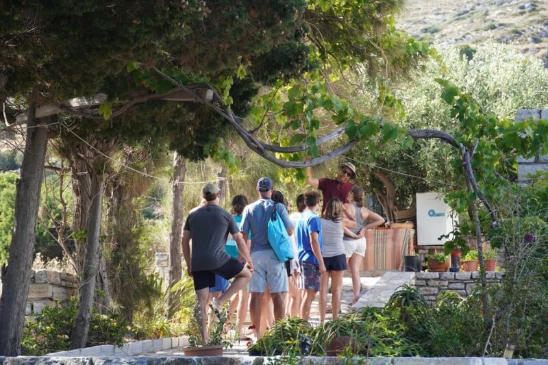 Naxos: Kampos Farm Sea Kayak Tour with Snorkeling & Picnic - FAQ