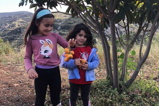 Naxos Perivoli Farm Experience & Wood-fire Cooking Class - Key Points