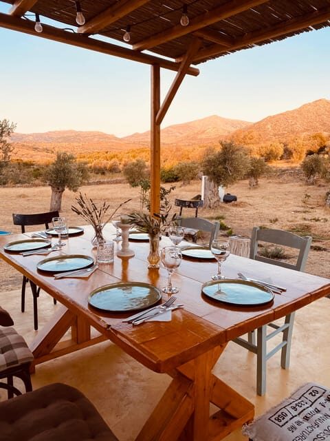 Naxos : Private BBQ night in the olive grove - Final Thoughts