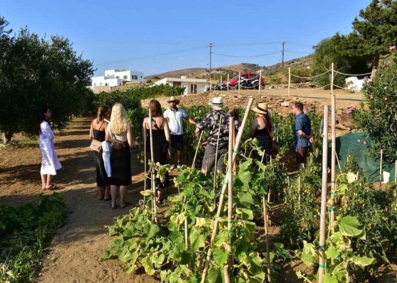 Naxos Private Cheese and Wine 6 Hour Experience - Who Will Love This Tour?