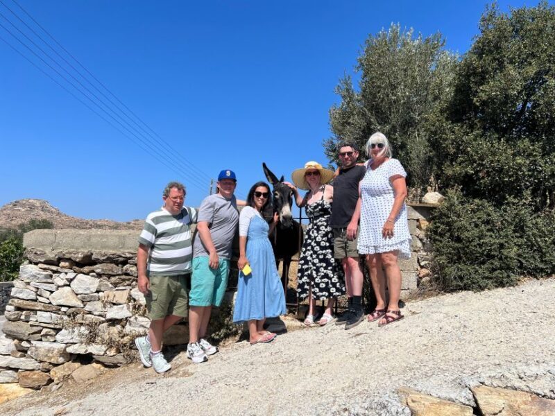 Naxos: Private Day Tour - What Makes This Tour Stand Out