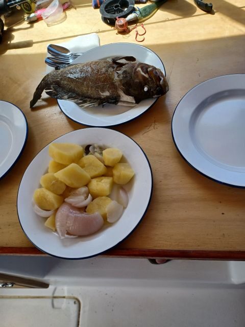 Naxos: Private Fishing Boat Trip with Fresh Onboard Meal - The Sum Up: Who Should Consider This Tour?