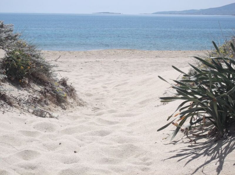 Naxos: Private Minibus Rental with an Experienced Driver - Key Points