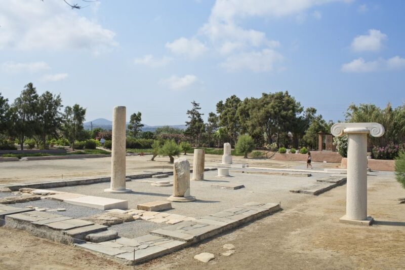 Naxos: Private Minibus Rental with an Experienced Driver - Exploring Naxos: A Deep Dive into the Private Minibus Experience