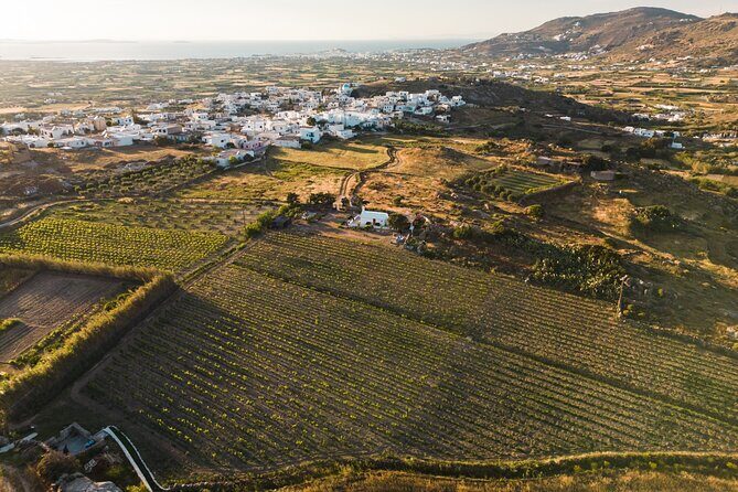 Naxos Private / Semi Private E-Bike Guided Tour Inland Methexis - FAQ
