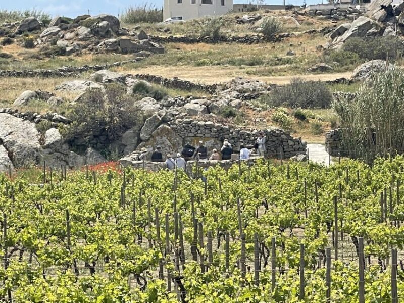Naxos: Private Vineyard Tour & Wine Tasting with an Expert - Exploring the Naxos Vineyard Tour: A Deep Dive