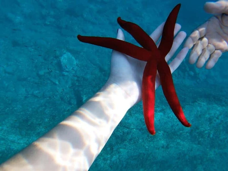 Naxos: Taormina Boat Tour with Snorkeling and Prosecco - Snorkeling and Marine Life