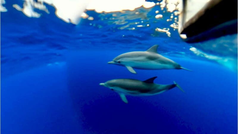 Naxos: Taormina Boat Tour with Snorkeling and Prosecco - The End of the Tour and Return