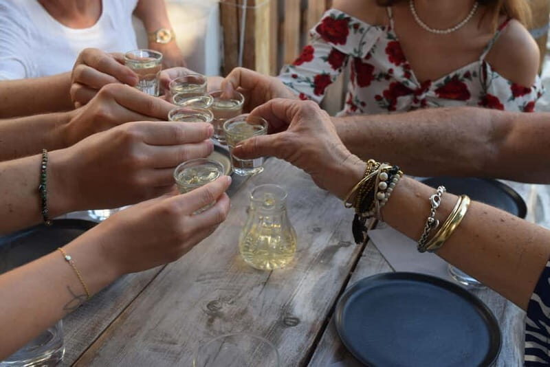 Naxos: Wine Tasting and Dinner with Local Guide - Who Should Consider This Tour?