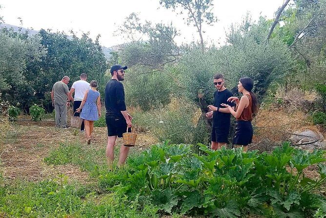 Naxos:Half-day cooking class at Basiliko - Key Points