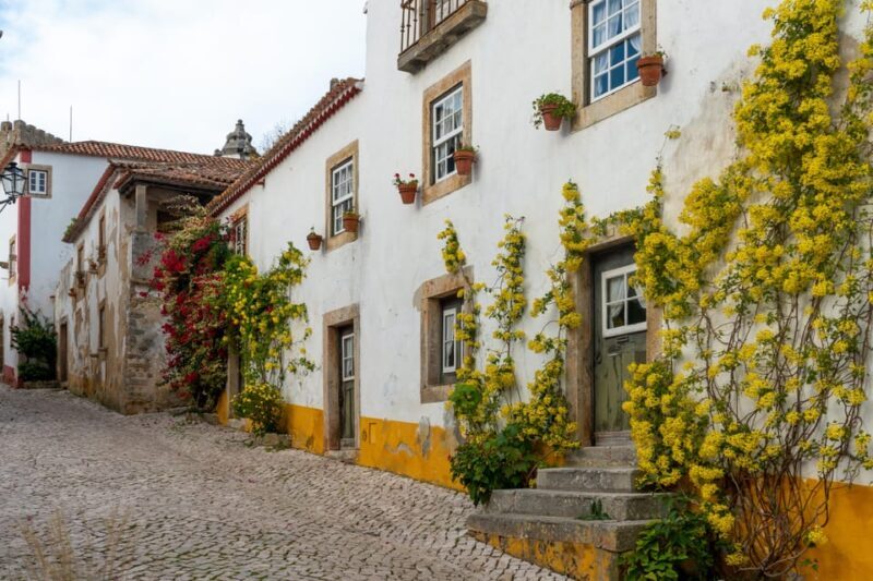 Nazaré and Óbidos private tour - Who Will Love This Tour?