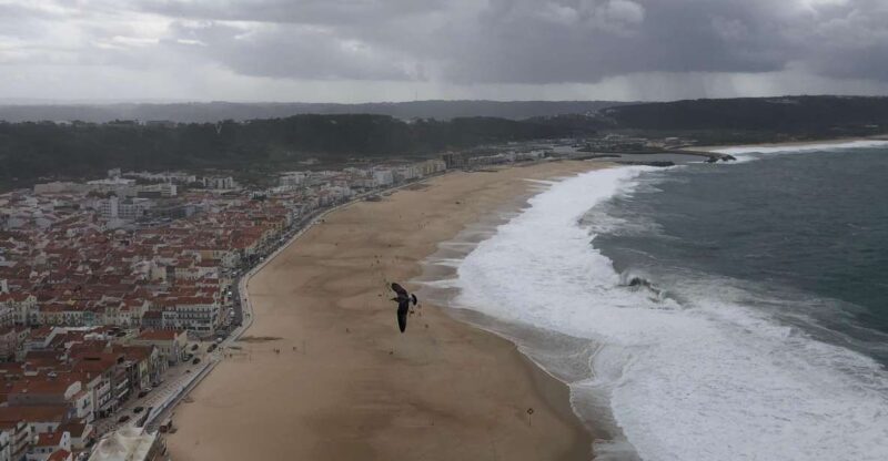 Nazaré: Big Wave Capital & Medieval Óbidos tour from Lisbon - In-Depth Review: What to Expect on This Tour