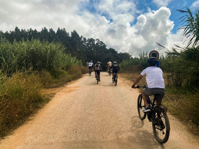Nazaré - Óbidos E-bike and Wine tour - Key Points