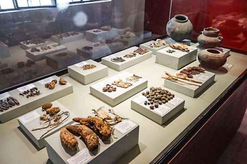 Nazca: Archaeological visit of Nazca + Museum Antonini - A Closer Look at the Nazca Archaeological Tour