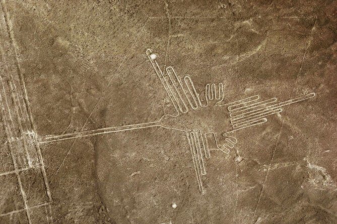 Nazca Lines & Ballestas Islands Private Tour Bus&Flight from Lima - Who Would Love This Tour?