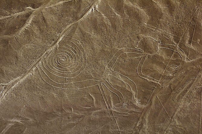 Nazca Lines & Ballestas Islands Private Tour Bus&Flight from Lima - FAQ