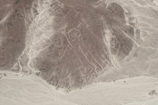 Nazca Lines Full Day Trip from Lima - FAQ