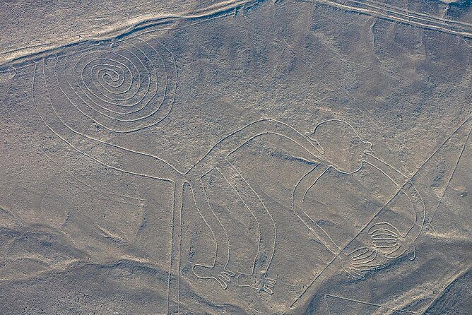 Nazca Lines Overflight - The Details of the Nazca Lines Overflight