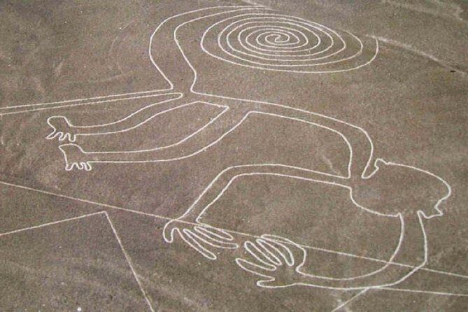 Nazca Lines Overflight Tour from Nazca - Who Should Consider This Tour?