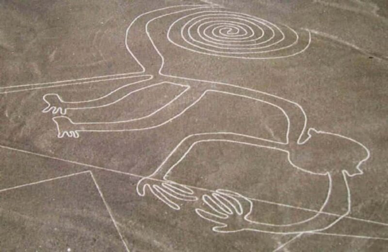 Nazca: Overflight of the Nazca Lines - Who Will Love This Tour?