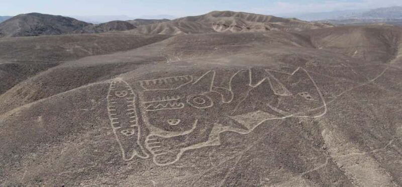 Nazca: Palpa Lines and Maria Reiche Museum Tour - Experience the Mysteries of Peru with the Nazca: Palpa Lines and Maria Reiche Museum Tour