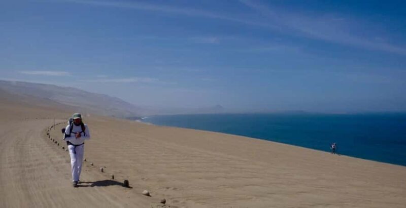 Nazca: Private service San Fernando Reserve Guided Tour - Key Points