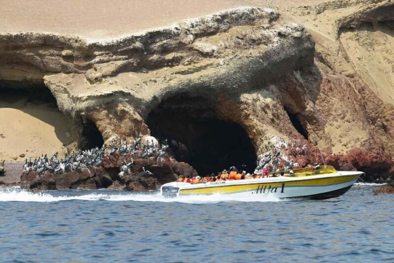 Nazca: Private service San Fernando Reserve Guided Tour - Final Thoughts