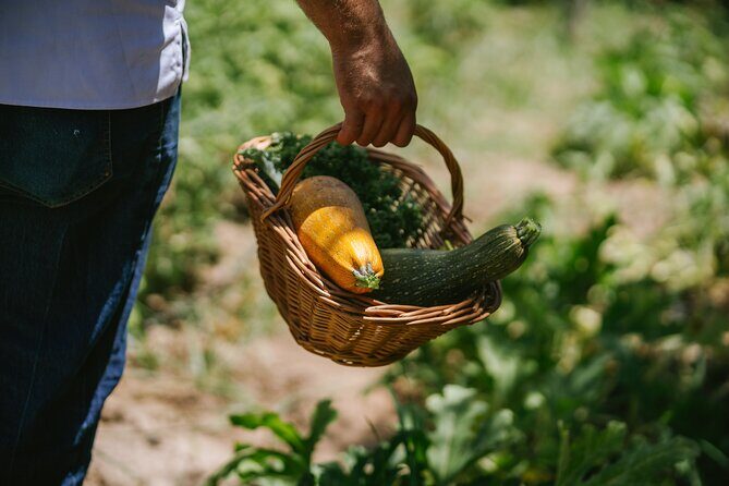 Neapolitan Pizza Class with Lunch and Winery Tour - Frequently Asked Questions (FAQs)