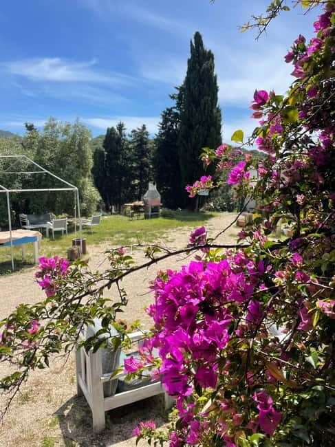 Near Cagliari: Almond Blossom Magic at "In Our Garden" (new) - Final Thoughts