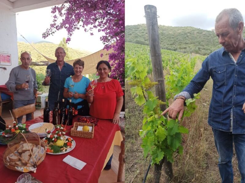 Near Cagliari: The World of Natural Wine at "In Our Garden" - Authenticity and Reviews