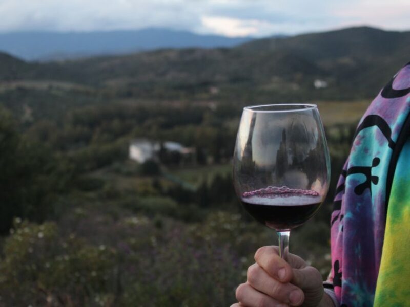 Near Cagliari: The World of Natural Wine at "In Our Garden" - FAQ