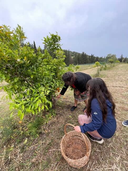 Near Cagliari: Wild Herbs and Healing at "In Our Garden" - An In-Depth Look at the "In Our Garden" Herbal Walk