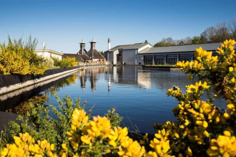 Near Inverness: The Singleton Whisky Tour From Malt to Cask - The Sum Up
