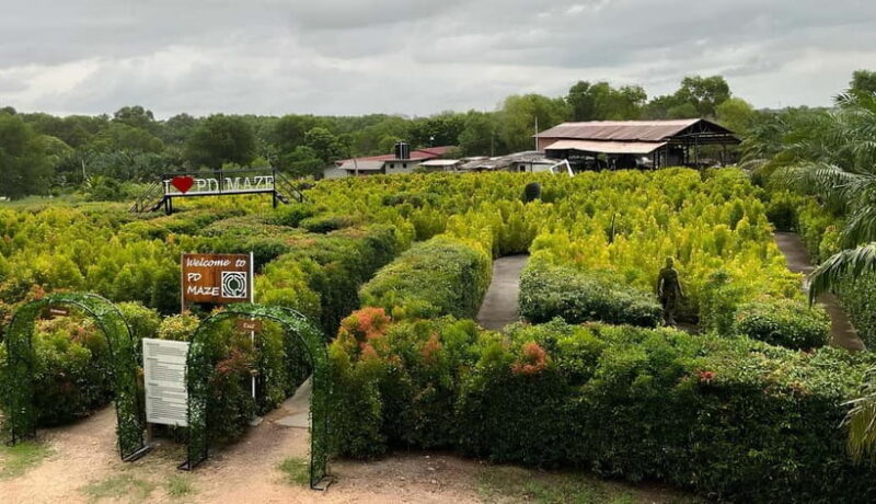 Negeri Sembilan: PD Maze Admission Ticket - Exploring the PD Maze in Negeri Sembilan: An Intricate Puzzle Adventure