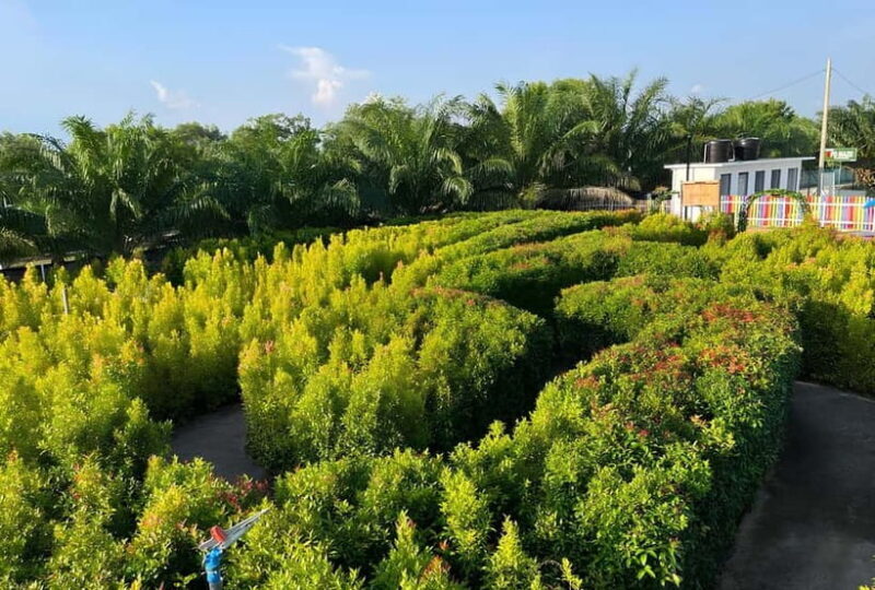 Negeri Sembilan: PD Maze Admission Ticket - Analyzing the Value