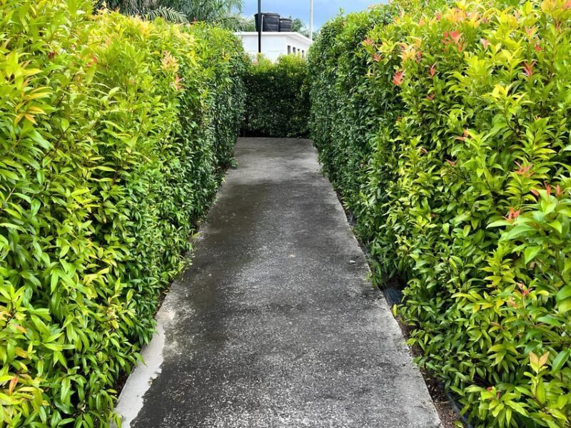 Negeri Sembilan: PD Maze Admission Ticket - Final Thoughts