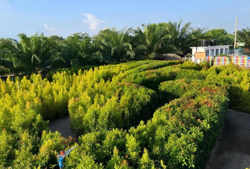 Negeri Sembilan: PD Maze Admission Ticket - FAQ