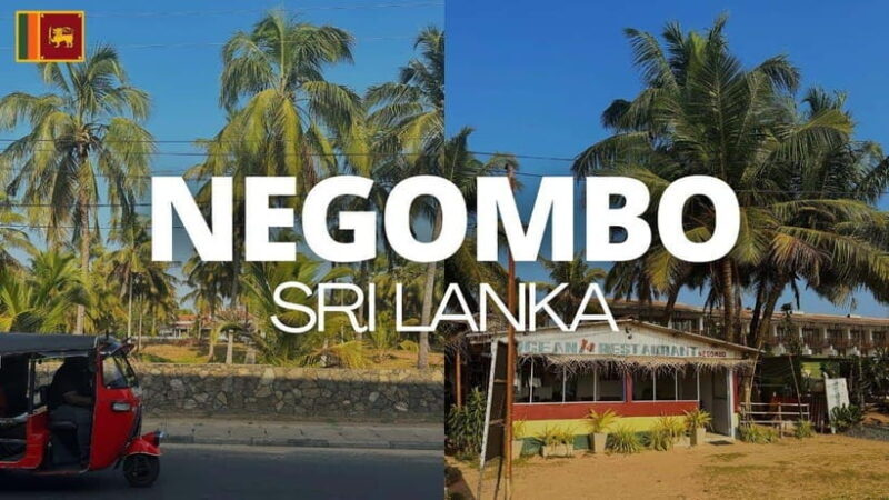 Negombo City : Explore the Fish Market & Dutch Canal by Boat - Practical Details and Tips