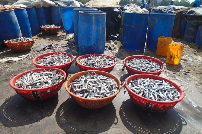 Negombo City Tour by Tuk Tuk - Who Should Consider This Tour?