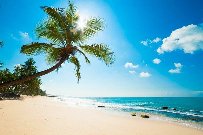 Negombo City Tour from Colombo - A Closer Look at the Negombo City Tour