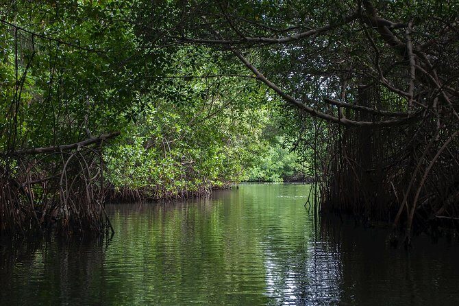 Negombo City Tour & String Hopper Cooking Experience  Half Day - The Practical Side: Transportation, Guide, and Value