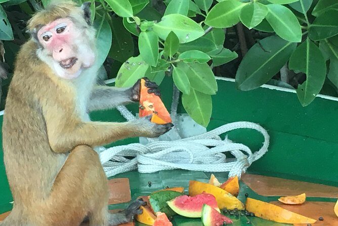 Negombo City Tour & String Hopper Cooking Experience  Half Day - Final Thoughts: Why This Tour Is a Great Value