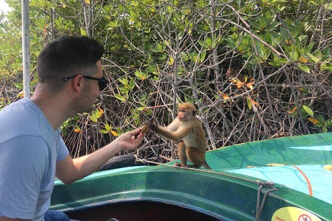 Negombo City Tour & String Hopper Cooking Experience  Half Day - Frequently Asked Questions (FAQs)