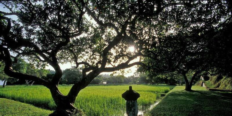 Negombo/Colombo: Bawa's Estate & Brief Garden Private Tour - The Sum Up: Who Will Appreciate This Tour?