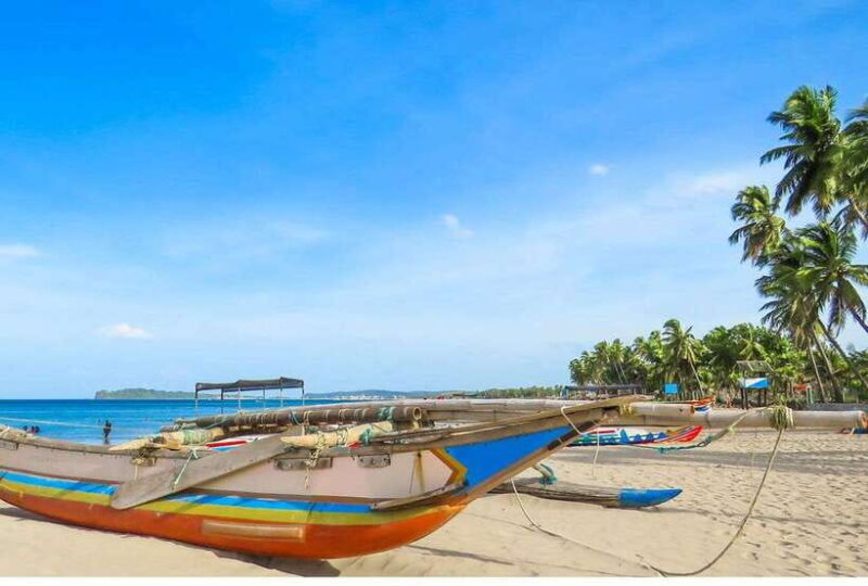 Negombo/Colombo:Private Galle Dutch Fort & Madu River Safari - Who Should Consider This Tour?