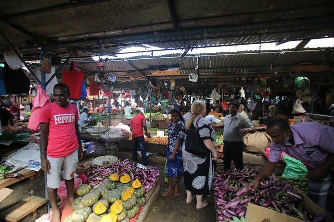 Negombo Day Tour - A Detailed Look at What You Can Expect